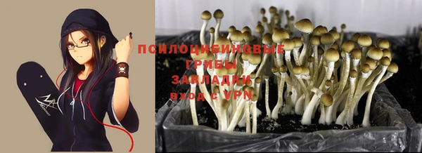 mdma Новозыбков