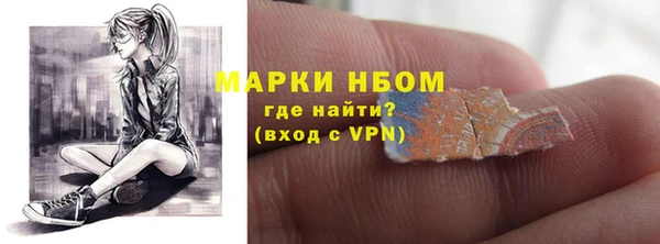 шишки Новокубанск