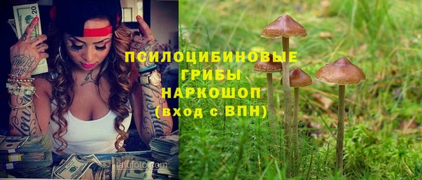 шишки Новокубанск