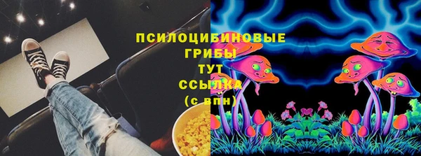 mdma Новозыбков