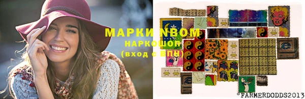 шишки Новокубанск