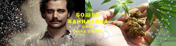 шишки Новокубанск