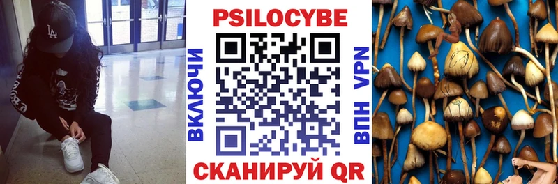 Псилоцибиновые грибы прущие грибы Солигалич