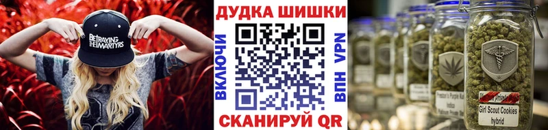 Канабис план  Солигалич 